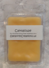 CANTALOUPE 6 cubos amêijoa shell up North Creations cera perfumada derrete, usado comprar usado  Enviando para Brazil