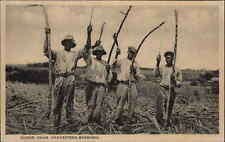 Cartão postal vintage masculino Barbados Sugar Cane Harvesters Barbadian comprar usado  Enviando para Brazil