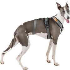 whippet harness for sale  HUDDERSFIELD