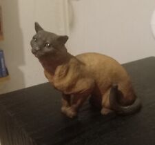 Castagna burmese cat for sale  SHEFFIELD