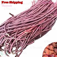 Red noodle yardlong for sale  Ontario