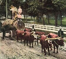 C1910 log hauling for sale  Mansfield