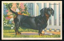 Dachshund dog card for sale  Niagara Falls
