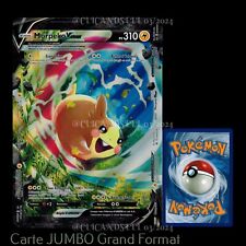 Carte pokémon jumbo d'occasion  Évian-les-Bains