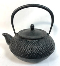 Teapot kettle tetsubin for sale  San Lorenzo