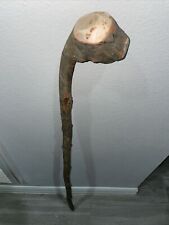 Unfinished natural shillelagh for sale  Vermilion