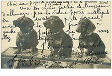 Chiens. 13080. teckels d'occasion  France