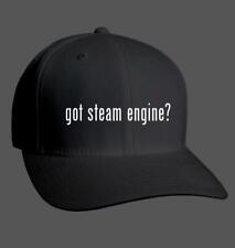 Got steam engine for sale  USA