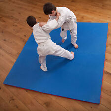Martial arts floor for sale  CREDITON