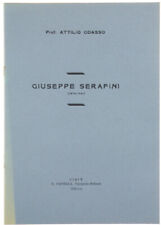 Giuseppe serafini odasso usato  Villarbasse