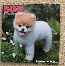 Boo cutest dog for sale  Lemont
