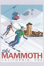 Snow ski mammoth for sale  Phoenix