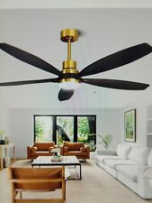 Kapoefan ceiling fan for sale  Tarpon Springs