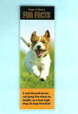 Bookmark jack russell for sale  Shipping to Ireland