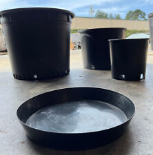 Black nursery containers for sale  Fortuna