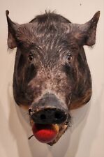 Vintage wild boar for sale  Bellevue