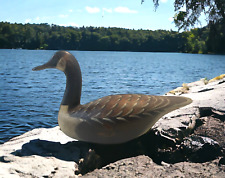 Ducks unlimited lac for sale  Aledo