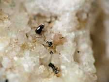 MM RARE MONAZITE Pink HEMATITE & RUTILE ISELLE TRANSQUERA Val DIVEDRO VB for sale  Shipping to South Africa
