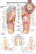 reflexology lafuma for sale  Shipping to Ireland