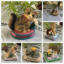 Assorted calico kittens for sale  Granger