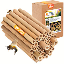 Beesi bambusröhrchen insekten gebraucht kaufen  Iserlohn