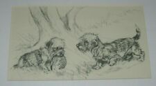 Terrier dog print for sale  HEREFORD