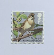 Nightingale bird 2017 for sale  KINGS LANGLEY