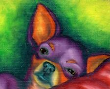 11x14 colorful chihuahua for sale  Broomfield