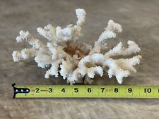 Real coral natural for sale  Mandeville
