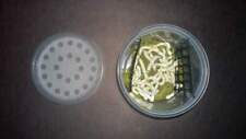 Medium Silkworms (Cup of 25) for sale  Shipping to South Africa