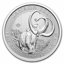 2024 rcm silver for sale  Oklahoma City
