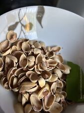 Nut shells for sale  WELWYN GARDEN CITY