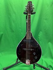 Electric mandolin for sale  Columbia