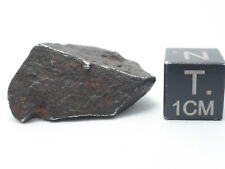 13.3 gibeon meteorite d'occasion  Antibes
