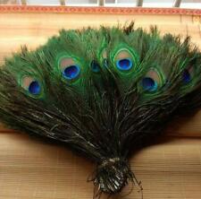100pcs natural peacock for sale  Shipping to Ireland