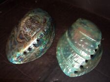 Natural abalone shells for sale  ROCHDALE