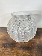 Lalique oursin sea for sale  SUDBURY