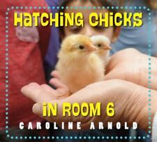 Hatching chicks room for sale  USA