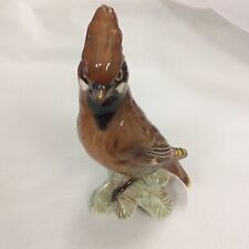 Bohemian waxwing bird for sale  BENFLEET
