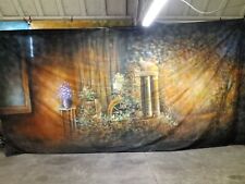 10x20 foot painted for sale  Syracuse