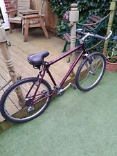 Raleigh trax mountain for sale  REDCAR