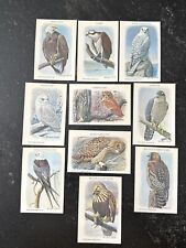 VTG Arm & Hammer 1975 Birds Of Prey Cards Series 1 Complete Set Of 10 for sale  Shipping to South Africa