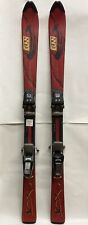 parabolic skis for sale  Mchenry