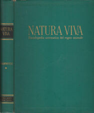 Natura viva voil usato  Italia