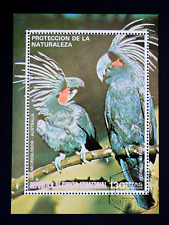 Birds black cockatoo for sale  MILTON KEYNES