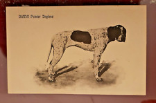 Cartolina serie cani usato  L Aquila