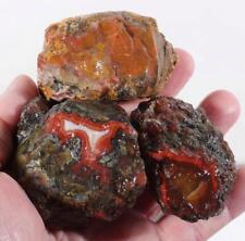 Morocco agate lapidary for sale  Polson