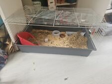 large animal cage for sale  LONDON