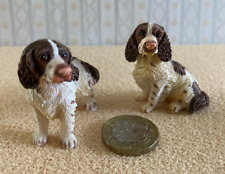 Pair miniature spaniel for sale  TRURO