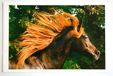 Pferde postkarte weingarten gebraucht kaufen  Langen